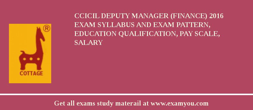 Central Cottage Industries Corporation Of India Limited 2019 Exam