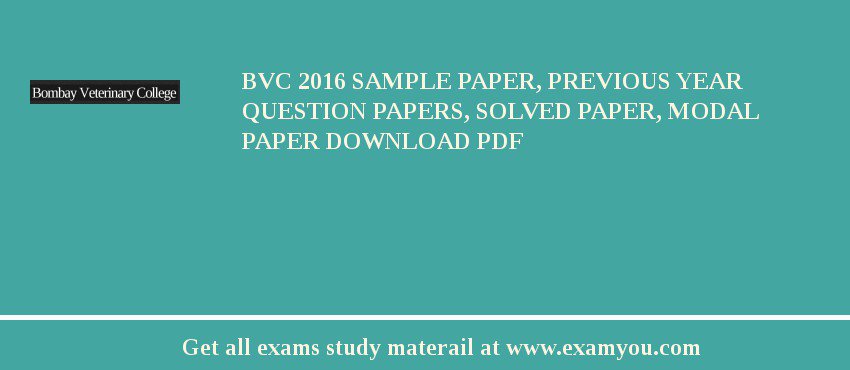 Bvc essays 06 image